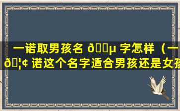 一诺取男孩名 🐵 字怎样（一 🦢 诺这个名字适合男孩还是女孩）